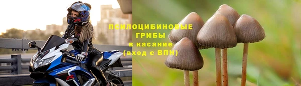 круглые Верея