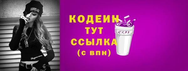 соль ск Вяземский