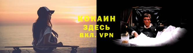 спайс Вязьма
