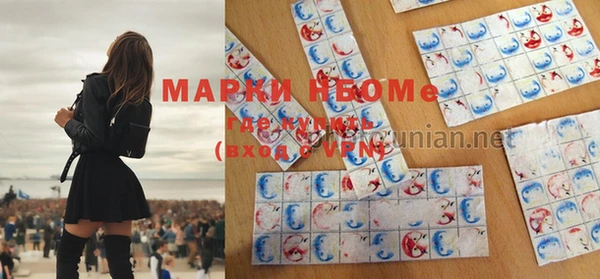 соль ск Вяземский