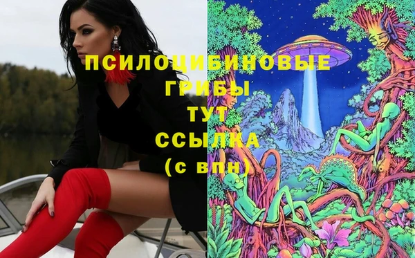 соль ск Вяземский