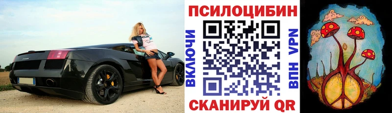 Купить где  Арск  Псилоцибиновые грибы ЛСД 