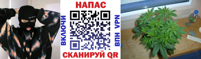 Купить закладки  Арск  Конопля гибрид 
